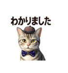 アメリカンショートヘアcat（個別スタンプ：11）