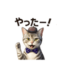 アメリカンショートヘアcat（個別スタンプ：12）