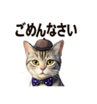 アメリカンショートヘアcat（個別スタンプ：13）
