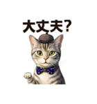 アメリカンショートヘアcat（個別スタンプ：14）