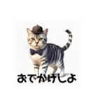 アメリカンショートヘアcat（個別スタンプ：16）