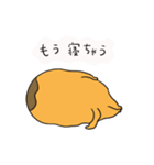 キンシコウの日常3。（個別スタンプ：25）
