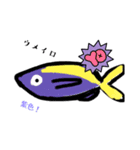 魚スタンプ第13弾   ～きれいな魚編～（個別スタンプ：5）