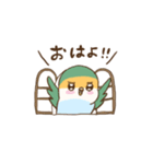 コザクラインコのピノのスタンプ（個別スタンプ：1）