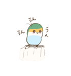 コザクラインコのピノのスタンプ（個別スタンプ：7）
