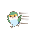 コザクラインコのピノのスタンプ（個別スタンプ：11）