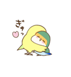 コザクラインコのピノのスタンプ（個別スタンプ：14）