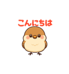 かわいい雀のイラスト（個別スタンプ：1）