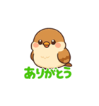 かわいい雀のイラスト（個別スタンプ：2）