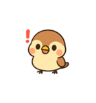 かわいい雀のイラスト（個別スタンプ：13）