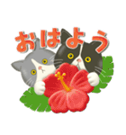 夏を届ける♪ハチワレコンビのご挨拶【3D】（個別スタンプ：1）