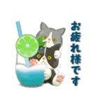 夏を届ける♪ハチワレコンビのご挨拶【3D】（個別スタンプ：2）
