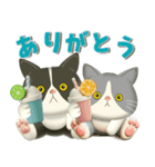 夏を届ける♪ハチワレコンビのご挨拶【3D】（個別スタンプ：9）