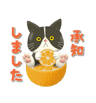 夏を届ける♪ハチワレコンビのご挨拶【3D】（個別スタンプ：10）