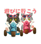 夏を届ける♪ハチワレコンビのご挨拶【3D】（個別スタンプ：12）