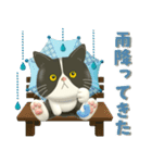 夏を届ける♪ハチワレコンビのご挨拶【3D】（個別スタンプ：13）