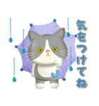 夏を届ける♪ハチワレコンビのご挨拶【3D】（個別スタンプ：14）