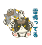 夏を届ける♪ハチワレコンビのご挨拶【3D】（個別スタンプ：15）