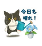 夏を届ける♪ハチワレコンビのご挨拶【3D】（個別スタンプ：17）