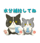 夏を届ける♪ハチワレコンビのご挨拶【3D】（個別スタンプ：18）