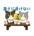 夏を届ける♪ハチワレコンビのご挨拶【3D】（個別スタンプ：20）