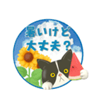 夏を届ける♪ハチワレコンビのご挨拶【3D】（個別スタンプ：21）