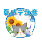 夏を届ける♪ハチワレコンビのご挨拶【3D】（個別スタンプ：22）
