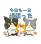 夏を届ける♪ハチワレコンビのご挨拶【3D】（個別スタンプ：23）