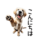 ゴールデンレトリバー子犬☆毎日使う敬語（個別スタンプ：2）
