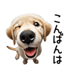 ゴールデンレトリバー子犬☆毎日使う敬語（個別スタンプ：3）
