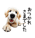 ゴールデンレトリバー子犬☆毎日使う敬語（個別スタンプ：5）