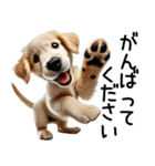 ゴールデンレトリバー子犬☆毎日使う敬語（個別スタンプ：10）
