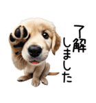 ゴールデンレトリバー子犬☆毎日使う敬語（個別スタンプ：12）