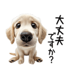 ゴールデンレトリバー子犬☆毎日使う敬語（個別スタンプ：15）
