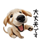 ゴールデンレトリバー子犬☆毎日使う敬語（個別スタンプ：16）
