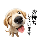 ゴールデンレトリバー子犬☆毎日使う敬語（個別スタンプ：18）