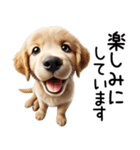 ゴールデンレトリバー子犬☆毎日使う敬語（個別スタンプ：19）