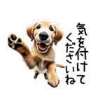 ゴールデンレトリバー子犬☆毎日使う敬語（個別スタンプ：20）