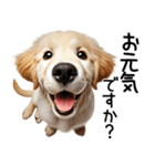 ゴールデンレトリバー子犬☆毎日使う敬語（個別スタンプ：22）