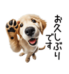 ゴールデンレトリバー子犬☆毎日使う敬語（個別スタンプ：23）