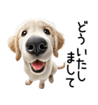ゴールデンレトリバー子犬☆毎日使う敬語（個別スタンプ：24）