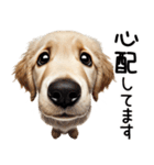 ゴールデンレトリバー子犬☆毎日使う敬語（個別スタンプ：27）