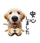 ゴールデンレトリバー子犬☆毎日使う敬語（個別スタンプ：29）