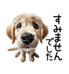 ゴールデンレトリバー子犬☆毎日使う敬語（個別スタンプ：30）