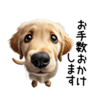 ゴールデンレトリバー子犬☆毎日使う敬語（個別スタンプ：32）