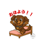 ミニチュアダックス RAM のスタンプ（個別スタンプ：5）