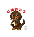 ミニチュアダックス RAM のスタンプ（個別スタンプ：7）