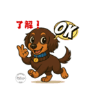 ミニチュアダックス RAM のスタンプ（個別スタンプ：11）
