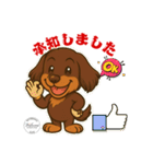 ミニチュアダックス RAM のスタンプ（個別スタンプ：12）