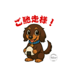 ミニチュアダックス RAM のスタンプ（個別スタンプ：21）